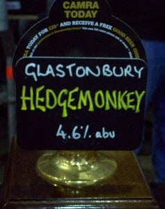 Glastonbury Hedgemonkey